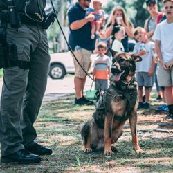 Canine Command Center