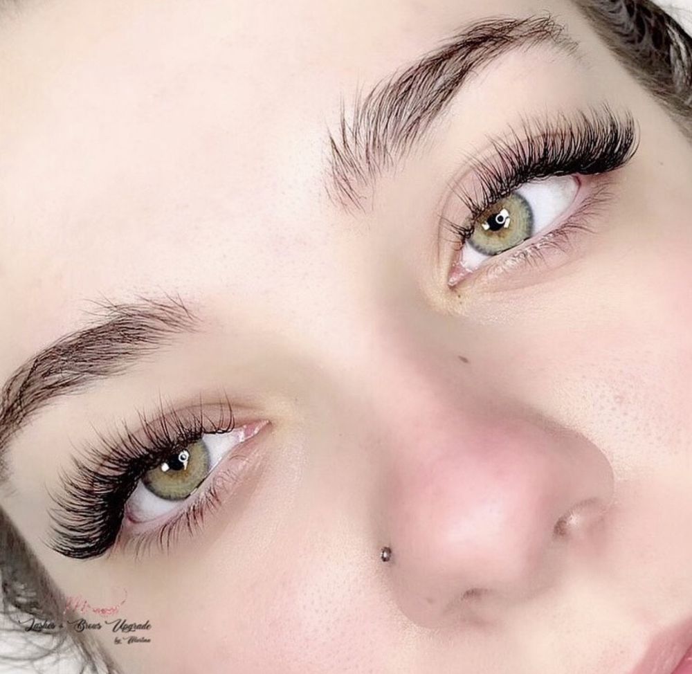 Lashes & Brows Upgrade Logo