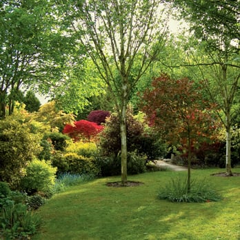 Pudding Lane Nursery - Nurseries & Gardening Near Me - Reading, WOK Pudding Lane Nursery - Nurseries & Gardening Near Me - Reading, WOK