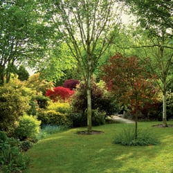 Pudding Lane Nursery