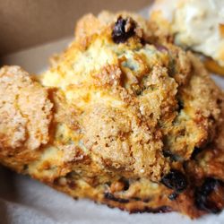 Tandem Coffee + Bakery - Blueberry scone