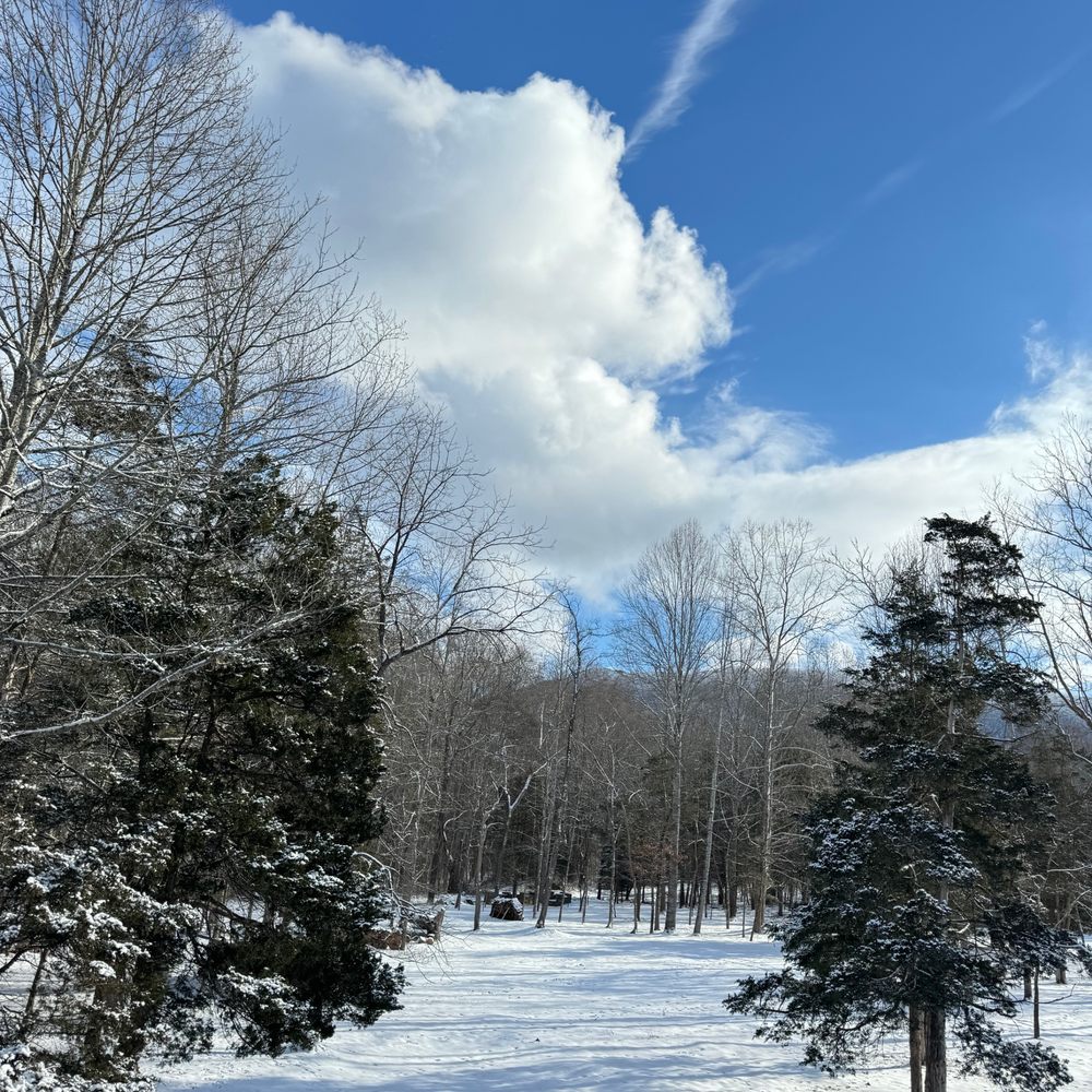 Shadow Mountain Escape - View from the Bumblebee - Vacation Rentals Near Me - Luray, Virginia Shadow Mountain Escape - View from the Bumblebee - Vacation Rentals Near Me - Luray, Virginia