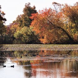 Mill Pond Park