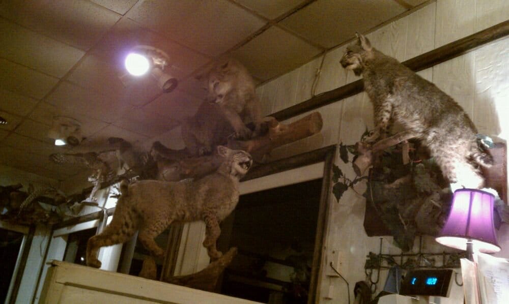 SILVER SPUR Updated September 2024 607 Broadway Ave, Gladewater