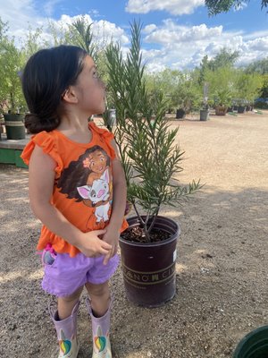 Civano Nursery - Retail Location by null