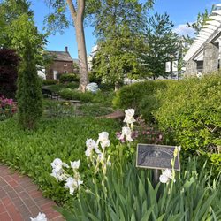 kitty pozer park
