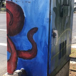 Octopus Art - The head and some legs of same octopus.