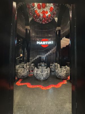 DG Martini ® by null
