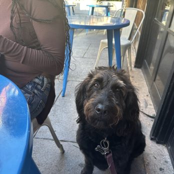 Porta - My dog! - Pizza Near Me - Jersey City, New Jersey