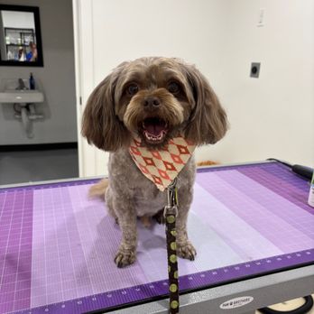 Furry Haven - Smile big! - Pet Boarding Near Me - Bountiful, Utah Furry Haven - Smile big! - Pet Boarding Near Me - Bountiful, Utah