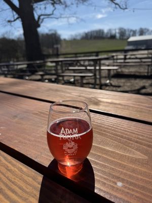 Adam Puchta Winery by null
