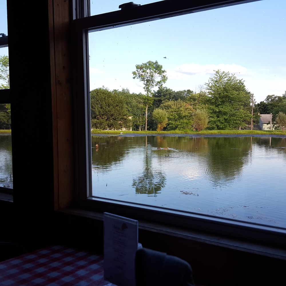 Memorytown - The pond,which you can see through the disgusting Windows, smelled awful. - Resorts Near Me - Mount Pocono, Pennsylvania Memorytown - The pond,which you can see through the disgusting Windows, smelled awful. - Resorts Near Me - Mount Pocono, Pennsylvania