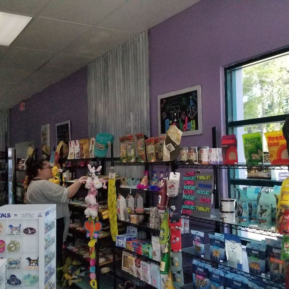 Bark Avenue - Goodies galore! - Pet Stores Near Me - Dunedin, Florida Bark Avenue - Goodies galore! - Pet Stores Near Me - Dunedin, Florida