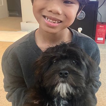 Supreme Puppy - Pet Breeders Near Me