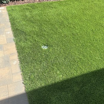 Big Bully Turf - Drain installed by new crew - Artificial Turf Near Me - San Diego, California Big Bully Turf - Drain installed by new crew - Artificial Turf Near Me - San Diego, California