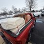 Photo of Nolt Junk Removal