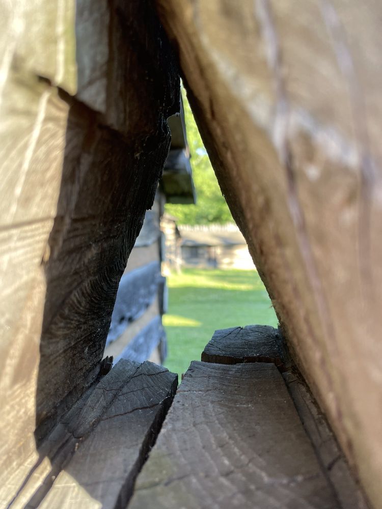 Social spots from Prickett's Fort State Park