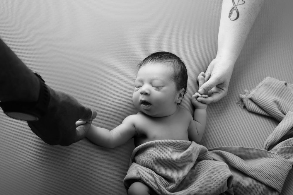 Sarina Schieferstein Photography