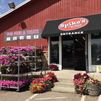 Spikes - Pet Stores Near Me - Loretto, Minnesota Spikes - Pet Stores Near Me - Loretto, Minnesota