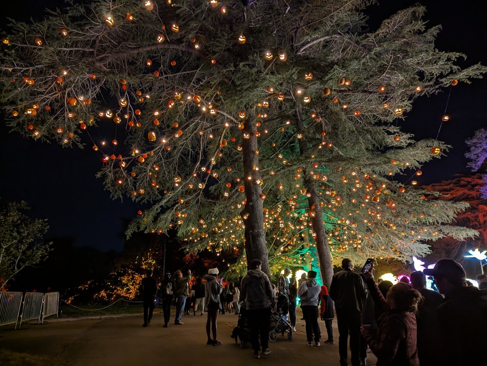 Slide of Window Wizards 