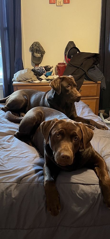 Slide of RT Services