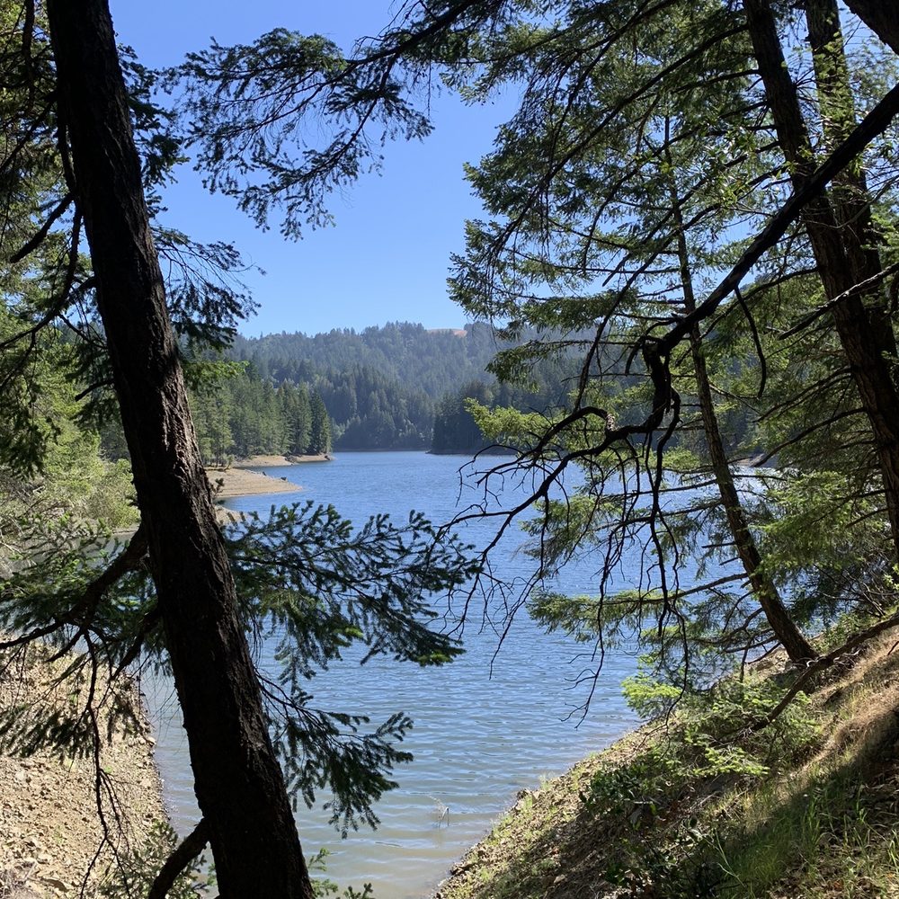 Bon Tempe Lake - Alpine lake is low this year - Hiking Near Me - Fairfax, California