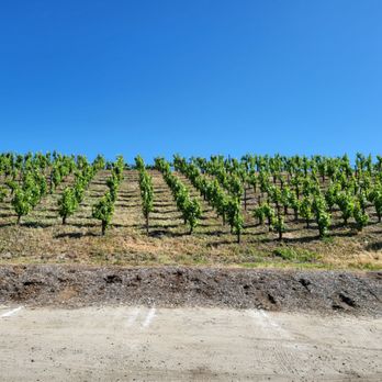 Wilson Creek Winery - Wineries Near Me - Temecula, California Wilson Creek Winery - Wineries Near Me - Temecula, California