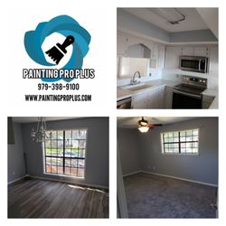 Painting Pro Plus - Interior painting