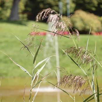 Kurpark Oberlaa - Parks Near Me - Vienna, 9 Kurpark Oberlaa - Parks Near Me - Vienna, 9