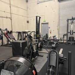 Pure Form Training