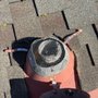 Photo of Rodent Proofing Intelligence