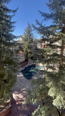 The Little Nell by null