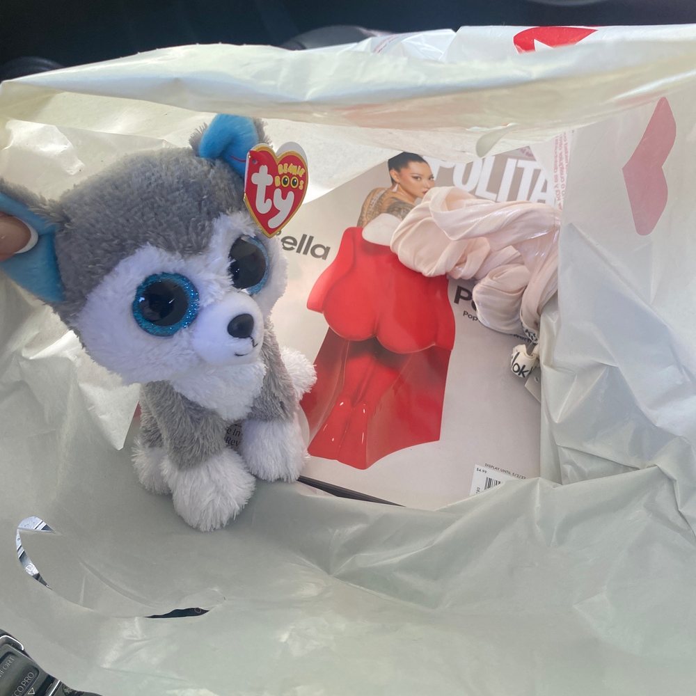 CVS Pharmacy - a stuffed husky dog in a plastic bag - Drugstores Near Me - WALNUT CREEK, California CVS Pharmacy - a stuffed husky dog in a plastic bag - Drugstores Near Me - WALNUT CREEK, California