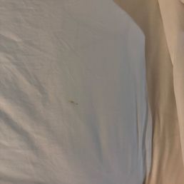 Blood stain on fitted sheet Blood stain on fitted sheet
