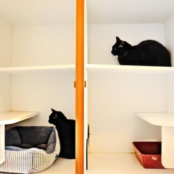 West Coast Veterinary Center - Cat Boarding - Veterinarians Near Me - Sarasota, Florida West Coast Veterinary Center - Cat Boarding - Veterinarians Near Me - Sarasota, Florida