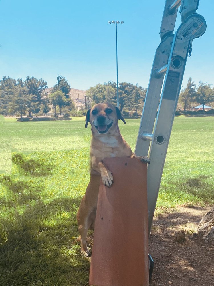 Slide of Colin Roofing