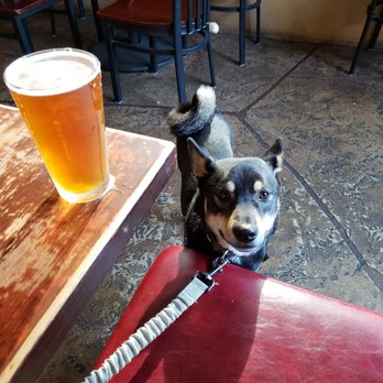 The Ojai Beverage - Annex patio is dog-friendly - Beer, Wine & Spirits Near Me - Ojai, California