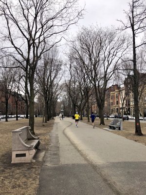 Commonwealth Avenue Mall by null