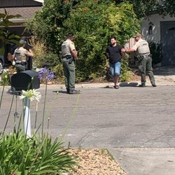 Pacifica Real Estate Services - One of the many arrests since 2022.