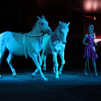 Shrine Circus - Performing Arts Near Me - Etobicoke, Ontario