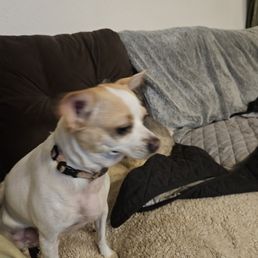 This is sugar