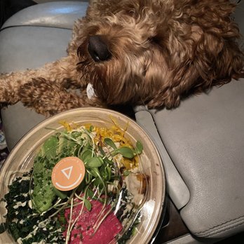 Vibe Organic Kitchen - Macro bowl on the way home makes for great night! - Juice Bars & Smoothies Near Me - Costa Mesa, California Vibe Organic Kitchen - Macro bowl on the way home makes for great night! - Juice Bars & Smoothies Near Me - Costa Mesa, California