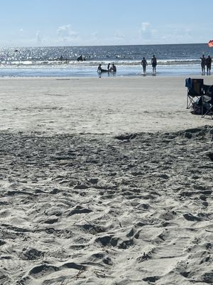 Folly Beach County Park by null