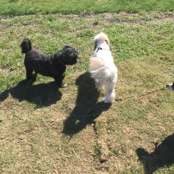 ZBonz Dog Park - Dog Parks Near Me - Fort Worth, Texas ZBonz Dog Park - Dog Parks Near Me - Fort Worth, Texas