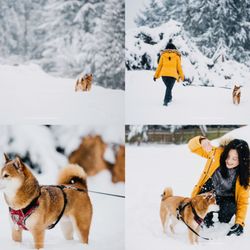 Siqi Chen Photography - Pet Session