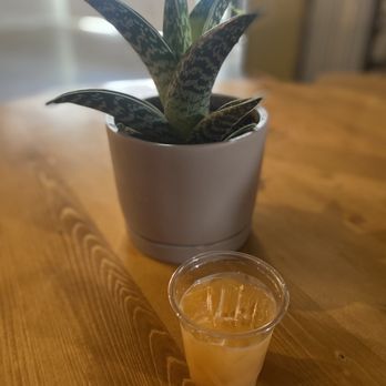 Kahvi Coffee And Cafe - Antioxidant shot - Cafes Near Me - Phoenix, Arizona Kahvi Coffee And Cafe - Antioxidant shot - Cafes Near Me - Phoenix, Arizona