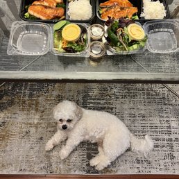 Bento Box