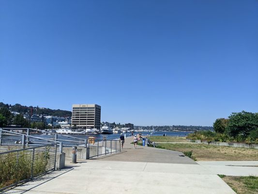 Lake Union Park by null