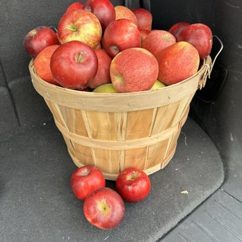 Edwards Apple Orchard - The freshest apples - Farmers Market Near Me - Poplar Grove, Illinois