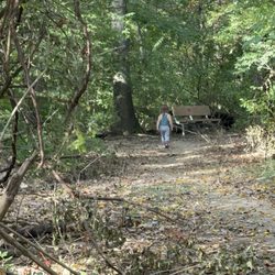 Wetlands Park